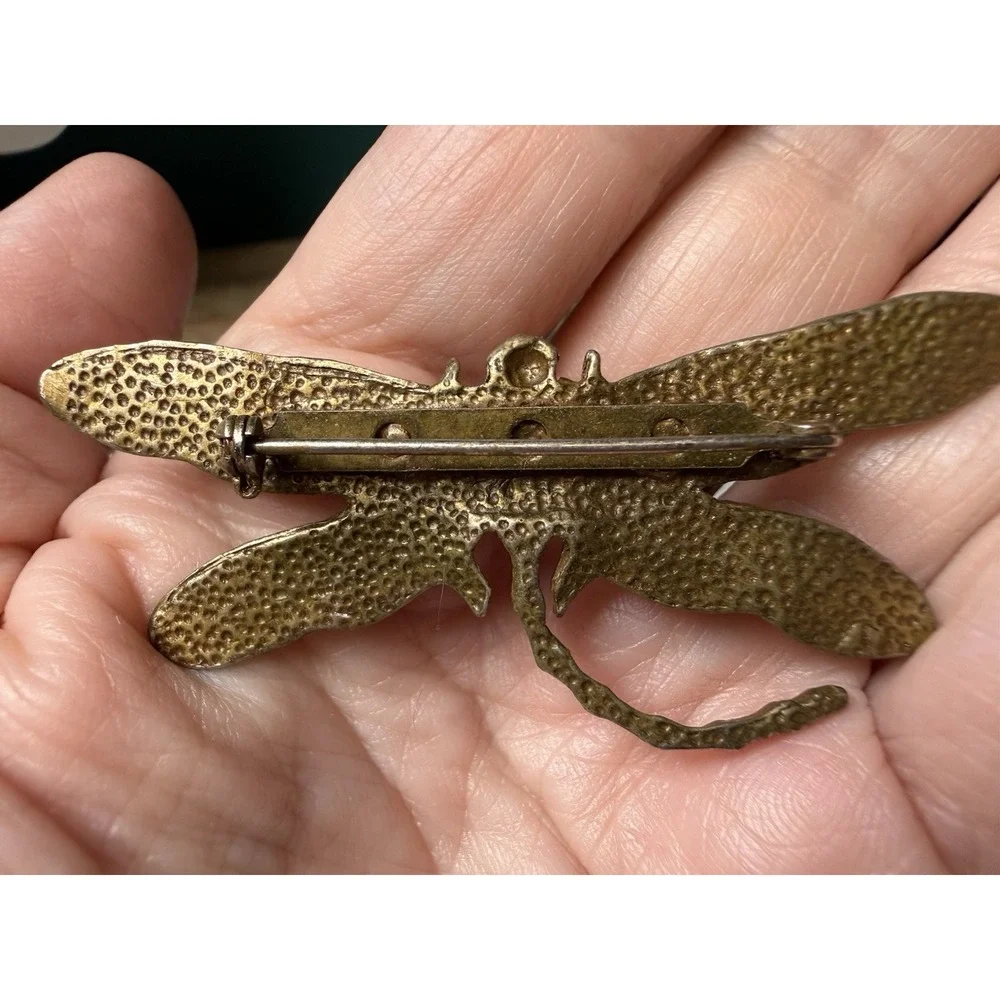 Dragonfly beautiful vintage